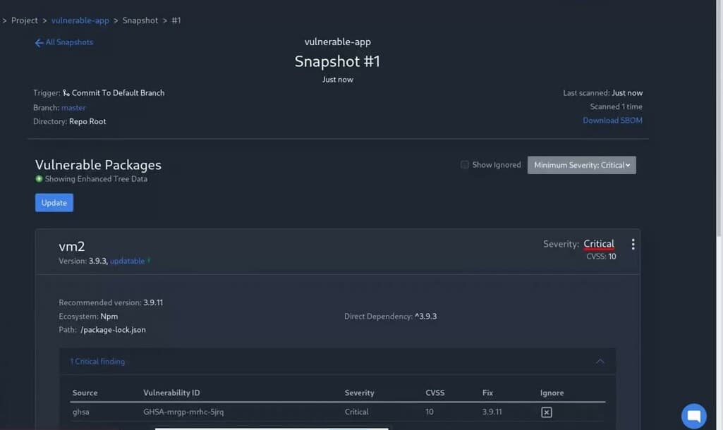 The LunaTrace console flagging a critical CVSS-10 vulnerability in a scanned dependency snapshot of a demo project